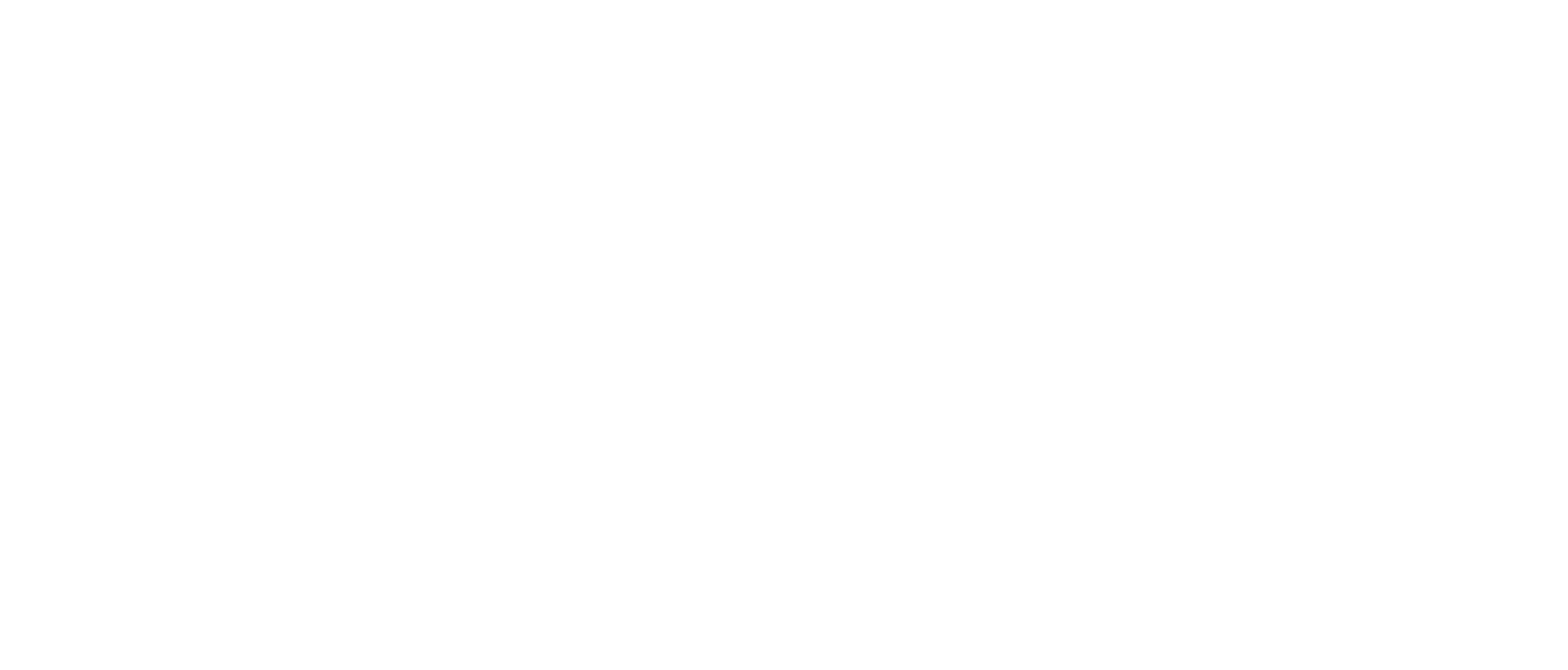 Black and white logo of Valguy with tagline 'Your best Video Wiz' in a dynamic sans-serif typeface
